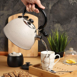 Чайник DANIKS M-009W (296807) 2.8 л