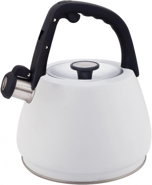 Чайники ZEIDAN Z-4554