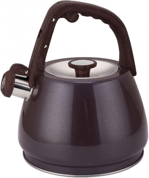 Чайники ZEIDAN Z-4555