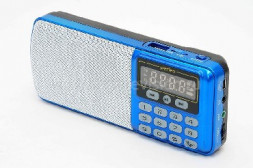 Радиоприемник PERFEO (i120-BL) ЕГЕРЬ - синий