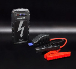 Зарядное устройство БЕРКУТ JSL-9000