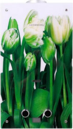 Проточный газовый водонагреватель GENBERG 210.01 ДЕКОР-ЕСО 10 л. Тюльпаны