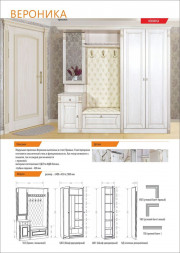 Прихожая БИТЕЛ ВЕРОНИКА ПБ 900 ясень патина
