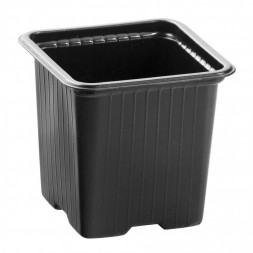 Горшок для рассады RUSSIA Горшочек для рассады, 70х70х65 мм, полистирол, 5 шт. 64344