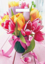 Пакет АРТПЛАСТ (ВУР55134) вырубная ручка 29х40см - Сиеста