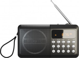 Радиоприемники SOUNDMAX SM-RD2116(чёрный)
