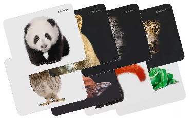 Коврик DEFENDER (50803) WILD ANIMAL - 8 видов ассортимент