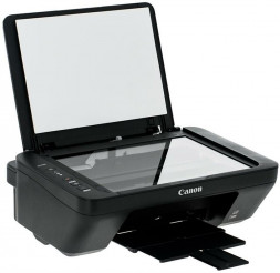 МФУ струйное CANON PIXMA MG2540S (0727C007)