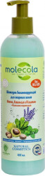 Шампунь MOLECOLA Шампунь балансирующий для жирных волос Мята, Лаванда и Каштан 400 мл, 71867