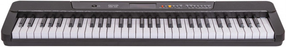 Синтезатор AIWA (20684) ASZ-461 черный