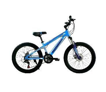 Велосипед PIONEER CENTURION 24&quot;/12&quot; blue-darkblue-white