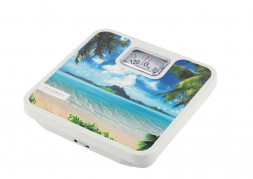 Весы ENERGY ENМ-409F