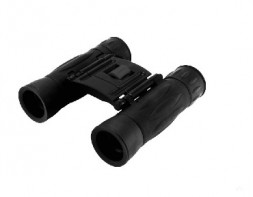 Бинокль LEVENHUK ATOM 10X25