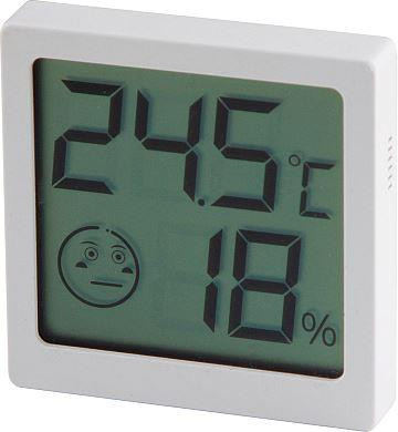 Термометр-гигрометр цифровой ENERGY EN-646 (107309)