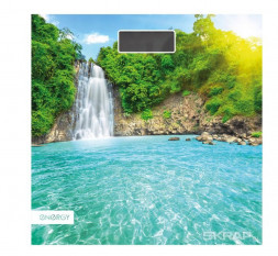 Весы ENERGY EN-419K