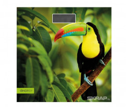 Весы ENERGY EN-419L