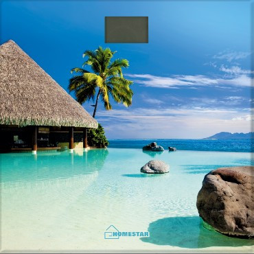 Весы HOMESTAR HS-6001H (4546)