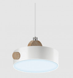 светильник потолочный RITTER 52077 1 Scandia 14 Вт белый