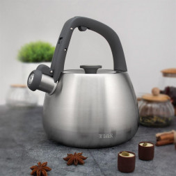 Чайник TALLER TR-11372