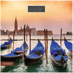 Весы ENERGY EN-419N (101259)