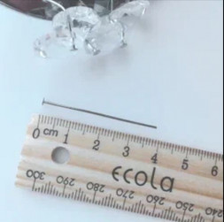 АКСЕССУАРЫ ДЛЯ СВЕТИЛЬНИКОВ ECOLA DYNCRVECB Сделай сам Хрустальный светильник Гвоздик Хром