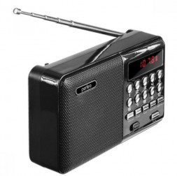 Радиоприемник PERFEO (PF-A4870) PALM - черный