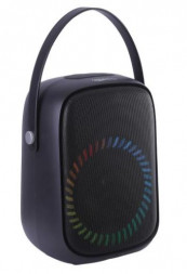 Портативная акустическая система AIWA PAS-Y600