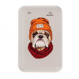 Power Bank RITMIX RPB-10007 BULLDOG