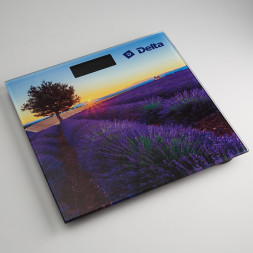 Весы DELTA D-9302