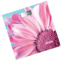 Весы CENTEK CT-2430 Summer