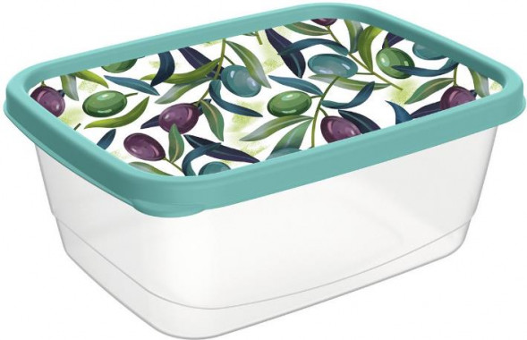 Контейнер IDILAND Optima Delicate для продуктов прямоугольный 1,5л с декором (зеленый) 221159418/05