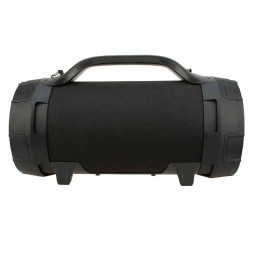 Колонка ELTRONIC 20-44 (DANCE BOX 300) - колонка 06