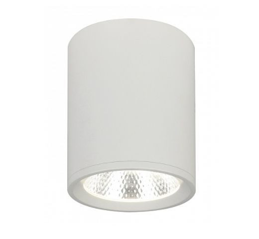 Светильник ESCADA 20003SMU/02 LED 12W 4200K белый матовый
