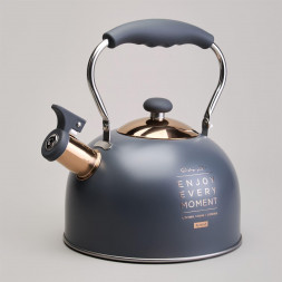 Чайник AGNESS ЧАЙНИК СО СВИСТКОМ 2,5 Л,НЖС ИНДУКЦИЯ 914-161