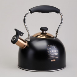 Чайник AGNESS 914-162 2,5л индукция