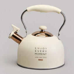 AGNESS 914-160 2,5л индукция