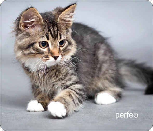 Коврик для компьютерной мыши PERFEO (PF_D0661) &quot;Cat&quot;