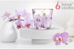 Свеча BARTEK Орхидея Фаленопсис (Orchid Phalaenopsis) 115гр в стакане