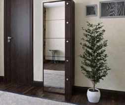 Обувница VENTAL Комфорт К-5S (зеркальная) венге