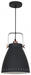 Светильник CAMELION (13072) PL-428L C62 черный + медь