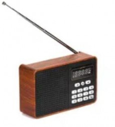 Радиоприемник PERFEO (PF_D0573) ALPINIST , коричневый