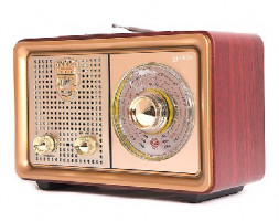 Радиоприёмник БЗРП РП-324 УКВ 64-108МГц, бат. 2*R20, 220V, USB/microSD/AUX, лупа