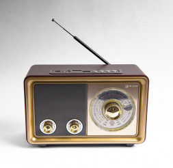 РАДИОПРИЕМНИКИ БЗРП РП-324BT КОРИЧНЕВЫЙ