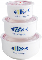 Hабор керамических пищевых контейнеров IRIT IRH-325C