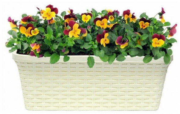 Балконный ящик VIOLET Балконный ящик &quot;Ротанг&quot; 43см с дренажем (венге) 3540005