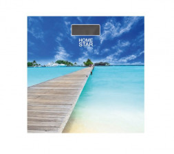 весы HOMESTAR HS-6001R