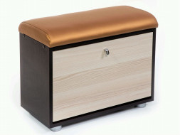 Обувница БИТЕЛ МС-1 Венге/Ясень/Бронзовый С-109