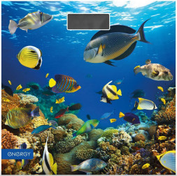 Весы ENERGY EN-419M (101258)