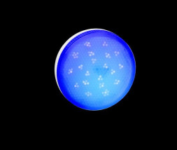 Лампы светодиодные ECOLA T5TB80ELC LED COLOR GX53/8,0W Синий