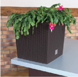 Кашпо PROSPERPLAST Кашпо RATO LOW DRTS265L-440U венге 2пр 11 и 15,8л